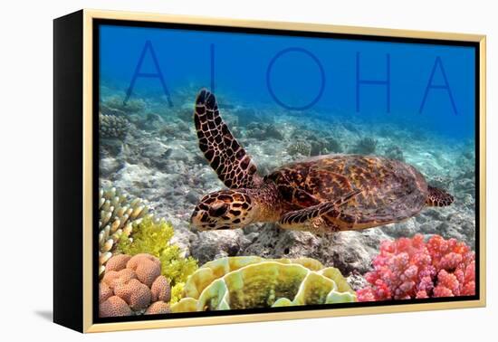 Sea Turtle and Coral - Aloha-Lantern Press-Framed Stretched Canvas