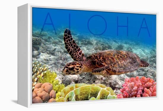 Sea Turtle and Coral - Aloha-Lantern Press-Framed Stretched Canvas