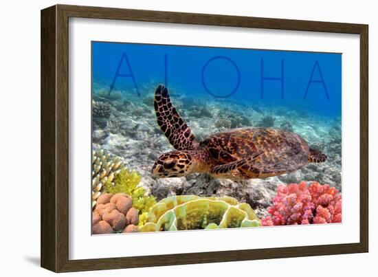 Sea Turtle and Coral - Aloha-Lantern Press-Framed Art Print