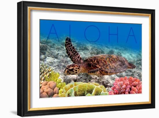 Sea Turtle and Coral - Aloha-Lantern Press-Framed Art Print