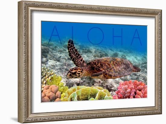 Sea Turtle and Coral - Aloha-Lantern Press-Framed Premium Giclee Print