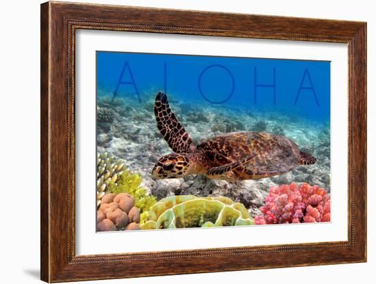 Sea Turtle and Coral - Aloha-Lantern Press-Framed Premium Giclee Print