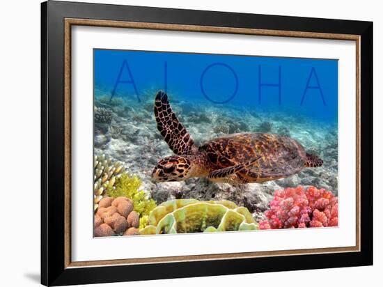 Sea Turtle and Coral - Aloha-Lantern Press-Framed Premium Giclee Print