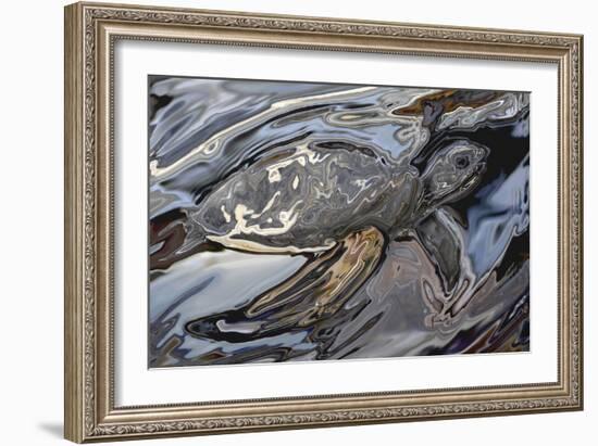 Sea Turtle At Risk-Rabi Khan-Framed Art Print