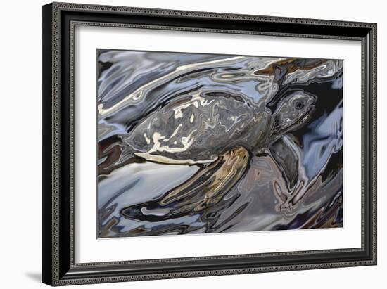 Sea Turtle At Risk-Rabi Khan-Framed Art Print