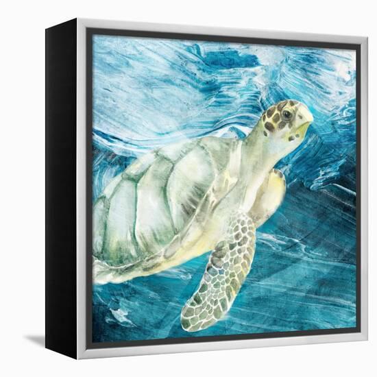 Sea Turtle Blues-Kimberly Allen-Framed Stretched Canvas