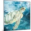 Sea Turtle Blues-Kimberly Allen-Mounted Art Print