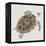 Sea Turtle I-Naomi McCavitt-Framed Stretched Canvas