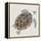 Sea Turtle I-Naomi McCavitt-Framed Stretched Canvas