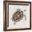 Sea Turtle I-Naomi McCavitt-Framed Art Print