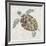 Sea Turtle II-Naomi McCavitt-Framed Art Print