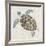 Sea Turtle II-Naomi McCavitt-Framed Art Print