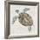 Sea Turtle II-Naomi McCavitt-Framed Art Print