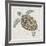 Sea Turtle II-Naomi McCavitt-Framed Art Print