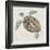 Sea Turtle II-Naomi McCavitt-Framed Art Print