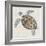 Sea Turtle II-Naomi McCavitt-Framed Art Print