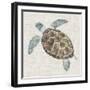 Sea Turtle II-Naomi McCavitt-Framed Art Print