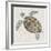 Sea Turtle II-Naomi McCavitt-Framed Art Print