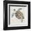 Sea Turtle II-Naomi McCavitt-Framed Art Print