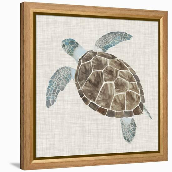 Sea Turtle II-Naomi McCavitt-Framed Stretched Canvas