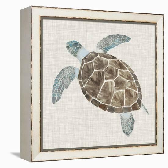 Sea Turtle II-Naomi McCavitt-Framed Stretched Canvas