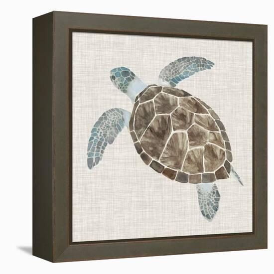 Sea Turtle II-Naomi McCavitt-Framed Stretched Canvas