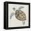 Sea Turtle II-Naomi McCavitt-Framed Stretched Canvas