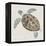 Sea Turtle II-Naomi McCavitt-Framed Stretched Canvas