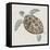 Sea Turtle II-Naomi McCavitt-Framed Stretched Canvas