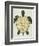 Sea Turtle in Black and Gold-Cat Coquillette-Framed Art Print