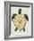 Sea Turtle in Black and Gold-Cat Coquillette-Framed Art Print