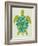 Sea Turtle in Lime-Cat Coquillette-Framed Art Print