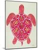 Sea Turtle in Pink and Gold-Cat Coquillette-Mounted Art Print