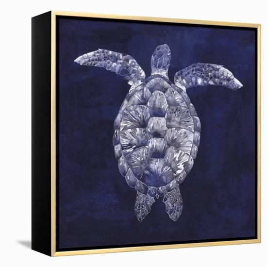 Sea Turtle Shadow I-Grace Popp-Framed Stretched Canvas