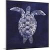 Sea Turtle Shadow I-Grace Popp-Mounted Art Print