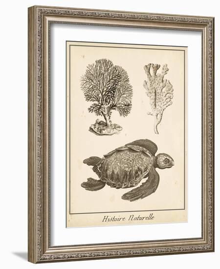 Sea Turtle Study I-Vision Studio-Framed Art Print