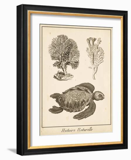 Sea Turtle Study I-Vision Studio-Framed Art Print