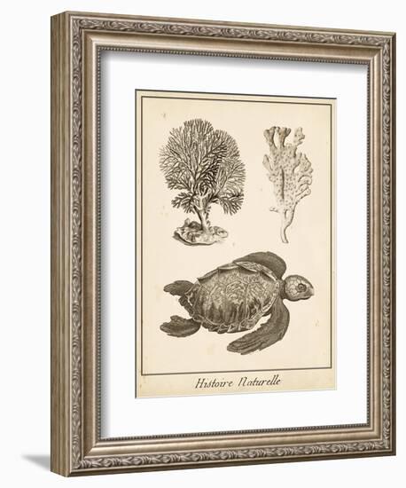 Sea Turtle Study I-Vision Studio-Framed Art Print