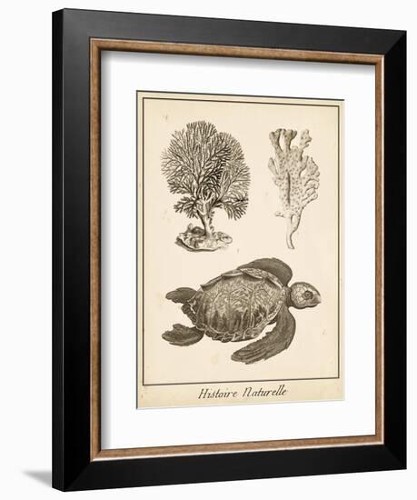 Sea Turtle Study I-Vision Studio-Framed Art Print