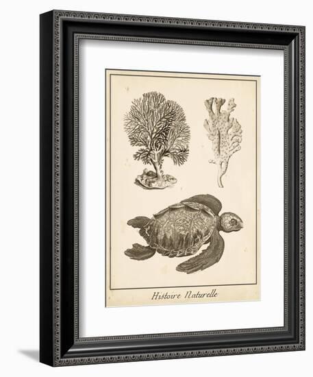 Sea Turtle Study I-Vision Studio-Framed Premium Giclee Print