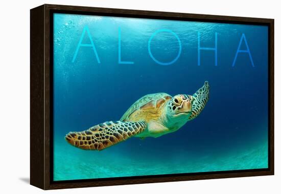 Sea Turtle Swimming - Aloha-Lantern Press-Framed Stretched Canvas