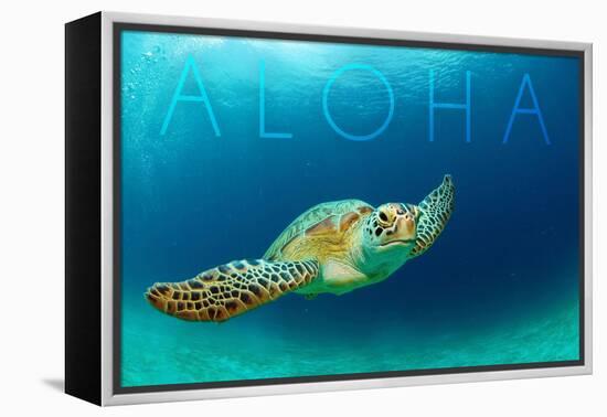 Sea Turtle Swimming - Aloha-Lantern Press-Framed Stretched Canvas