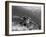 Sea Turtle, Swimming Underwater, Nosy Be, North Madagascar-Inaki Relanzon-Framed Premium Photographic Print