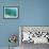 Sea Turtle, Swimming Underwater, Nosy Be, North Madagascar-Inaki Relanzon-Framed Photographic Print displayed on a wall