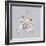 Sea Turtle-Justin Lloyd-Framed Giclee Print