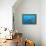 Sea Turtle-Krzysztof Odziomek-Framed Premier Image Canvas displayed on a wall