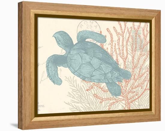 Sea Turtle-N. Harbick-Framed Stretched Canvas