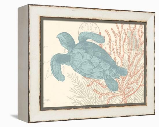 Sea Turtle-N. Harbick-Framed Stretched Canvas