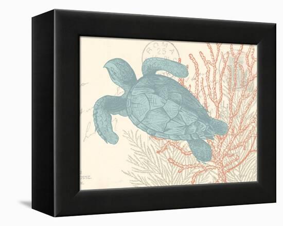 Sea Turtle-N. Harbick-Framed Stretched Canvas
