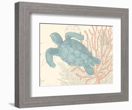 Sea Turtle-N. Harbick-Framed Premium Giclee Print